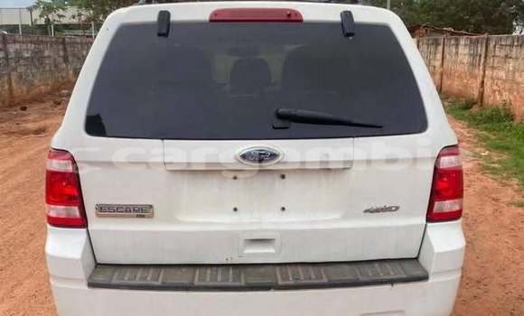 Dieundeu Occasion Ford Escape Other Auto in Banjul in Banjul Dieundeu Occasion Ford Escape Other Auto in Banjul in Banjul