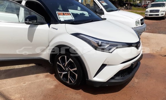 Dieundeu Imported Toyota C-HR White Auto in Sukuta in Brikama