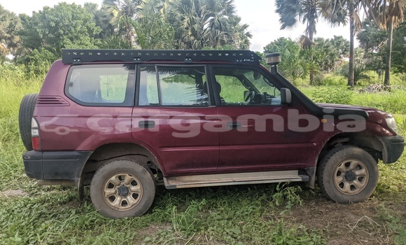 Acheter Occasion Voiture Toyota Land Cruiser Beige à Gunjur, Brikama Acheter Occasion Voiture Toyota Land Cruiser Beige à Gunjur, Brikama
