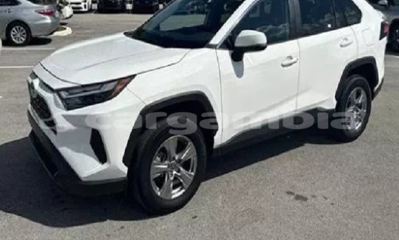 Buy Used Toyota RAV4 White Car in Gunjur in Brikama