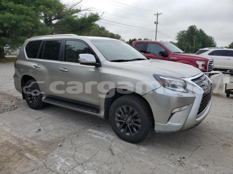Big with watermark lexus gx kerewan barra 2472