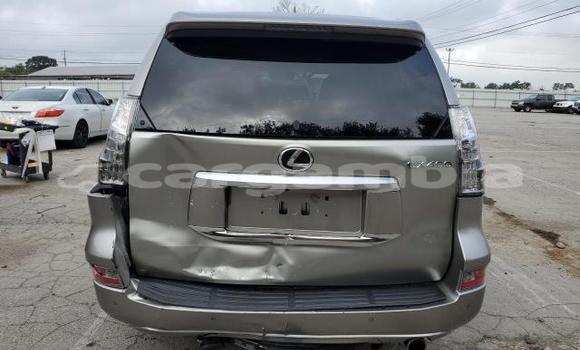 Buy Used Lexus GX Other Car in Barra in Kerewan Buy Used Lexus GX Other Car in Barra in Kerewan