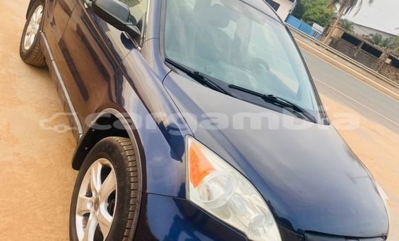 Buy Used Honda CR-V Blue Car in Bakau in Kanifing