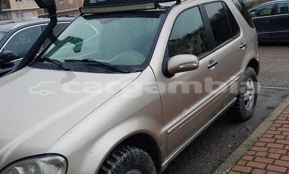 Buy Used Mercedes-Benz M-klasse Silver Car in Gunjur in Brikama