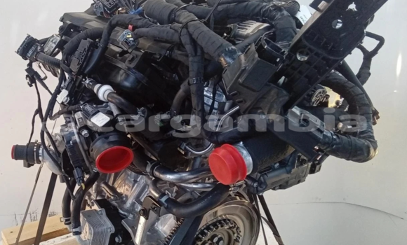 Medium with watermark s l16002