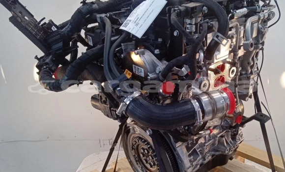 Acheter 2021 KIA SPORTAGE 1.6L à Banjul, Banjul Acheter 2021 KIA SPORTAGE 1.6L à Banjul, Banjul