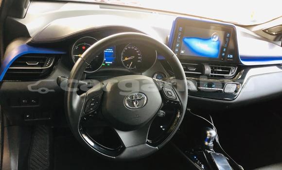 Acheter Import Voiture Toyota C-HR Gris à Sukuta, Brikama Acheter Import Voiture Toyota C-HR Gris à Sukuta, Brikama