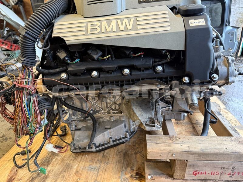 Big with watermark 2