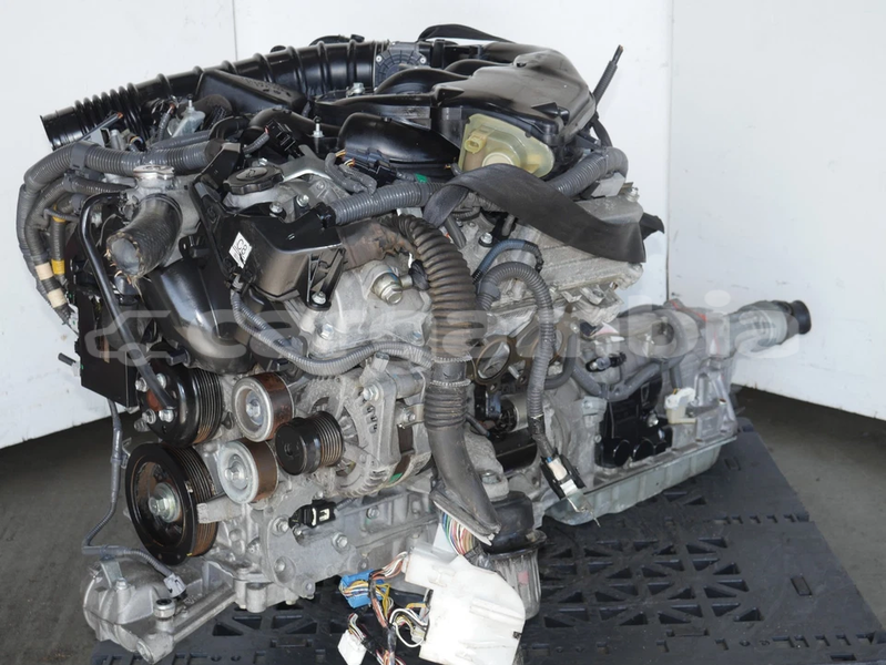 Big with watermark image b