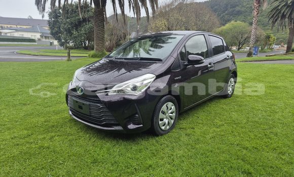 Buy Used Toyota Vitz Black Car in Banjul in Banjul