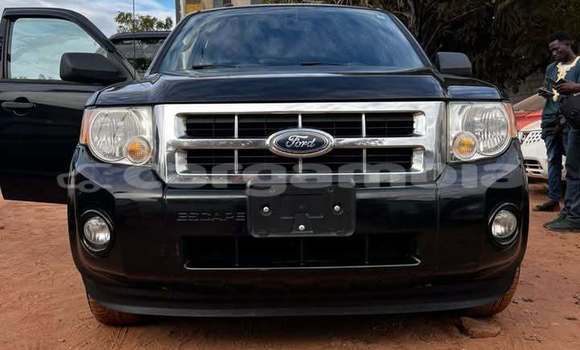 Buy Used Ford Escape Black Car in Banjul in Banjul Buy Used Ford Escape Black Car in Banjul in Banjul