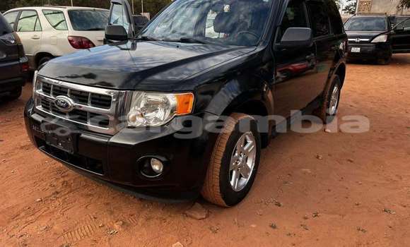 Buy Used Ford Escape Black Car in Banjul in Banjul Buy Used Ford Escape Black Car in Banjul in Banjul