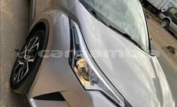 Buy Used Toyota C-HR Silver Car in Sukuta in Brikama Buy Used Toyota C-HR Silver Car in Sukuta in Brikama