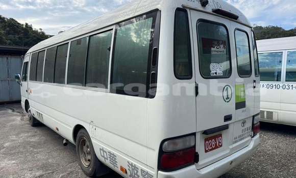 Buy Used Toyota Coaster White Car in Banjul in Banjul Buy Used Toyota Coaster White Car in Banjul in Banjul