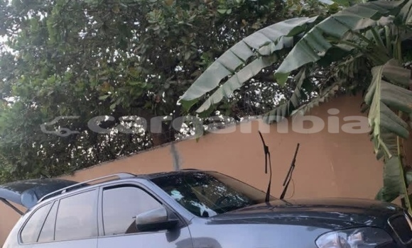 اشتري مستعمل BMW X5 Other سيارة في Sukuta في Brikama اشتري مستعمل BMW X5 Other سيارة في Sukuta في Brikama