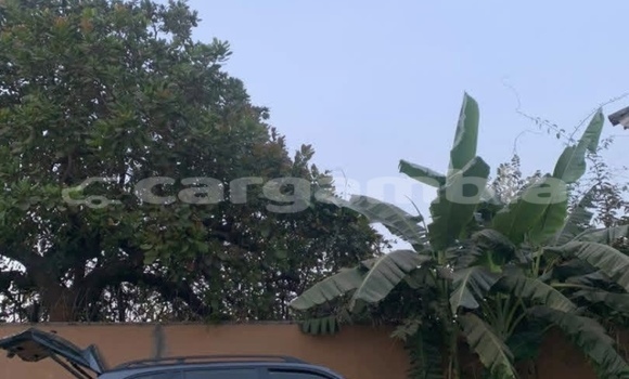 اشتري مستعمل BMW X5 Other سيارة في Sukuta في Brikama اشتري مستعمل BMW X5 Other سيارة في Sukuta في Brikama