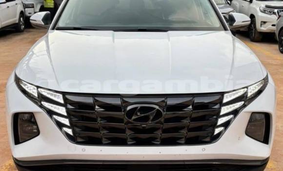 Buy Used Hyundai Tucson White Car in Banjul in Banjul Buy Used Hyundai Tucson White Car in Banjul in Banjul