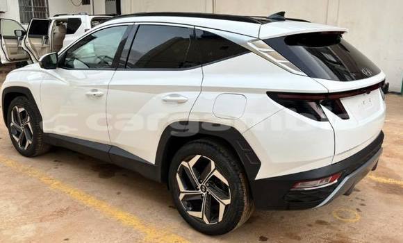 Buy Used Hyundai Tucson White Car in Banjul in Banjul Buy Used Hyundai Tucson White Car in Banjul in Banjul