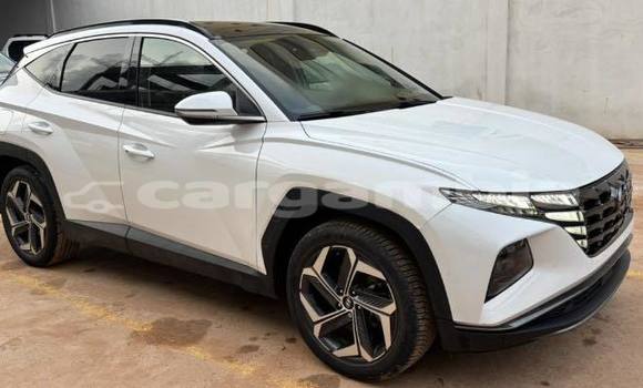 Buy Used Hyundai Tucson White Car in Banjul in Banjul Buy Used Hyundai Tucson White Car in Banjul in Banjul