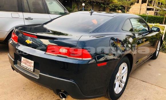 Buy Import Chevrolet Camaro Black Car in Sukuta in Brikama Buy Import Chevrolet Camaro Black Car in Sukuta in Brikama