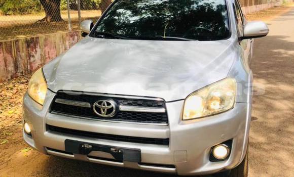 Buy Used Toyota RAV4 Other Car in Banjul in Banjul