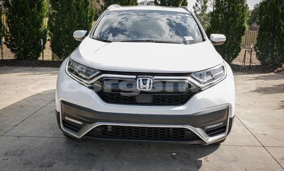 Buy Used Honda CR-V White Car in Banjul in Banjul Buy Used Honda CR-V White Car in Banjul in Banjul