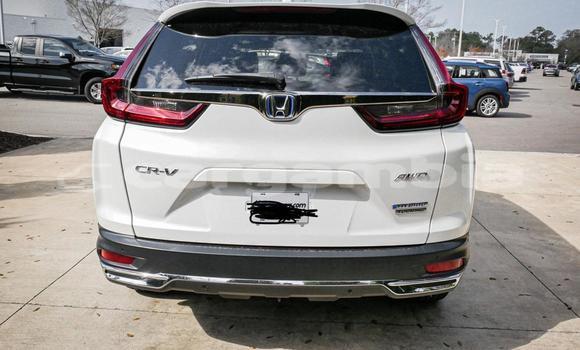 Buy Used Honda CR-V White Car in Banjul in Banjul Buy Used Honda CR-V White Car in Banjul in Banjul