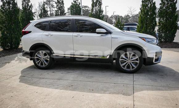 Buy Used Honda CR-V White Car in Banjul in Banjul Buy Used Honda CR-V White Car in Banjul in Banjul