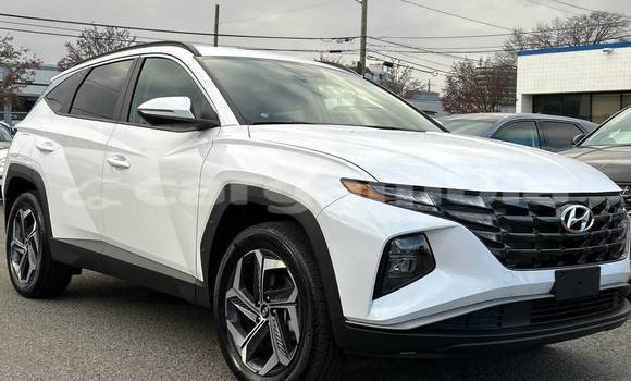 Buy Used Hyundai Tucson White Car in Banjul in Banjul