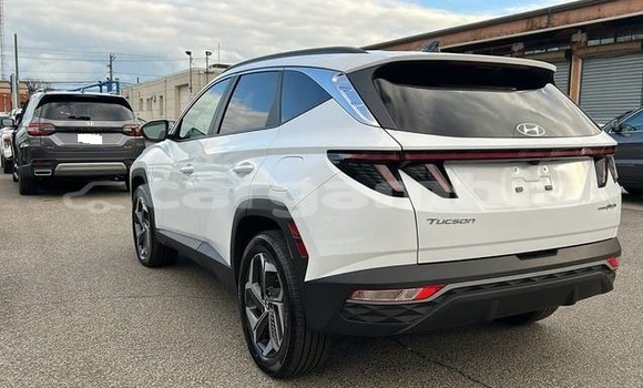 Dieundeu Occasion Hyundai Tucson White Auto in Banjul in Banjul Dieundeu Occasion Hyundai Tucson White Auto in Banjul in Banjul