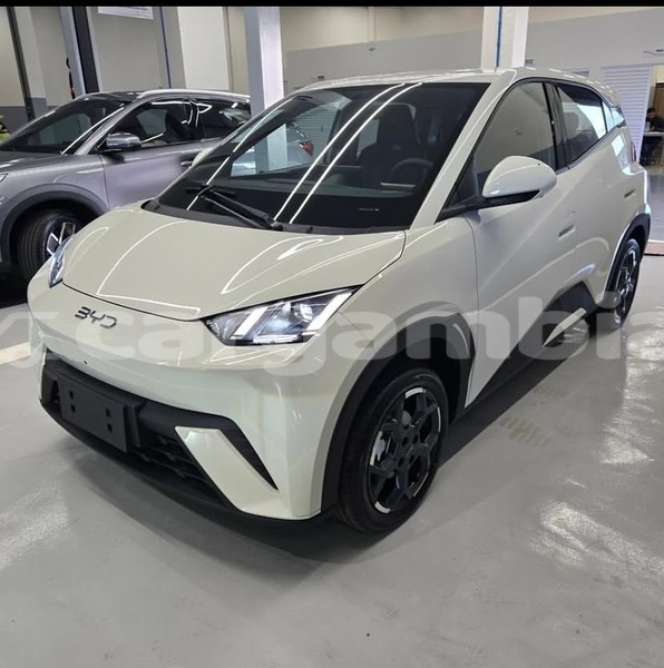 Big with watermark byd s6 banjul banjul 2702