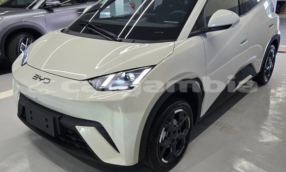 Buy Used BYD S6 White Car in Banjul in Banjul