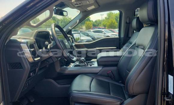 اشتري مستعمل Ford F-150 Black سيارة في Banjul في Banjul اشتري مستعمل Ford F-150 Black سيارة في Banjul في Banjul