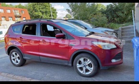 اشتري Imported FORD MUSTANG Red سيارة في Banjul في Banjul