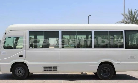 Dieundeu Occasion Toyota Coaster White Auto in Banjul in Banjul Dieundeu Occasion Toyota Coaster White Auto in Banjul in Banjul