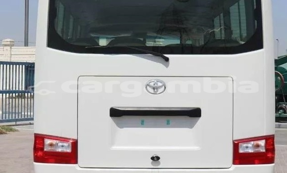 Dieundeu Occasion Toyota Coaster White Auto in Banjul in Banjul Dieundeu Occasion Toyota Coaster White Auto in Banjul in Banjul