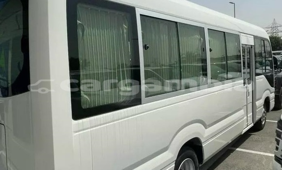 Dieundeu Occasion Toyota Coaster White Auto in Banjul in Banjul Dieundeu Occasion Toyota Coaster White Auto in Banjul in Banjul