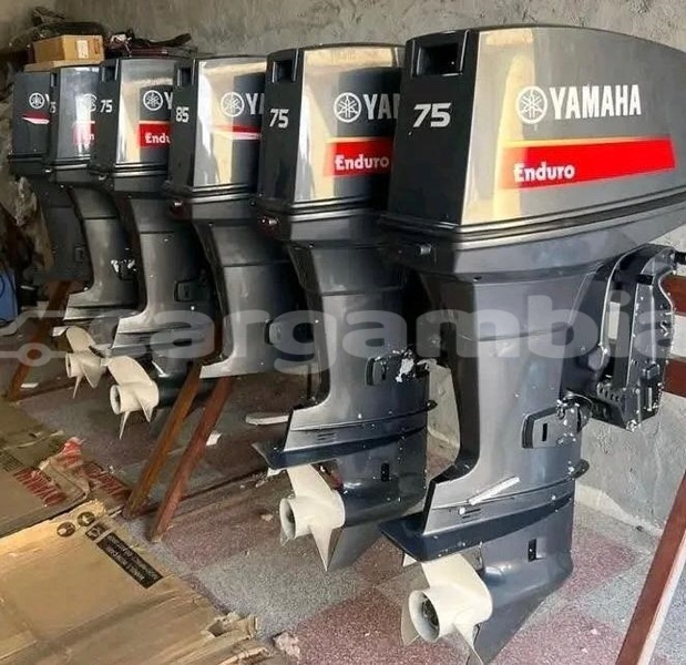 Big with watermark 75