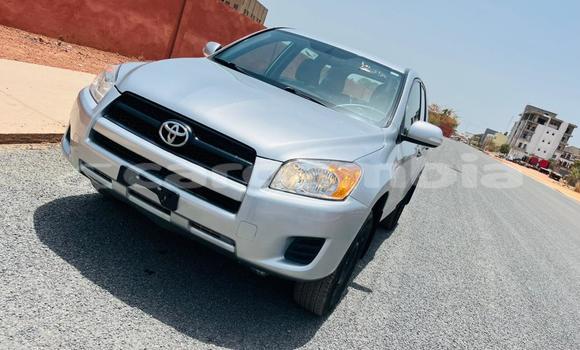 Dieundeu Imported Toyota RAV 4 Silver Auto in Bakau in Kanifing Dieundeu Imported Toyota RAV 4 Silver Auto in Bakau in Kanifing