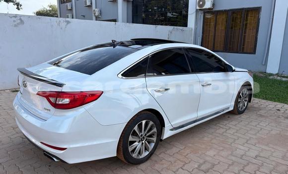 Dieundeu Imported Hyundai Sonata White Auto in Bakau in Kanifing Dieundeu Imported Hyundai Sonata White Auto in Bakau in Kanifing