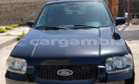 Dieundeu Occasion Ford Escape Blue Auto in Sukuta in Brikama Dieundeu Occasion Ford Escape Blue Auto in Sukuta in Brikama