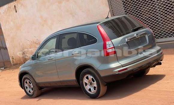 Buy Used Honda CR-V Other Car in Banjul in Banjul Buy Used Honda CR-V Other Car in Banjul in Banjul
