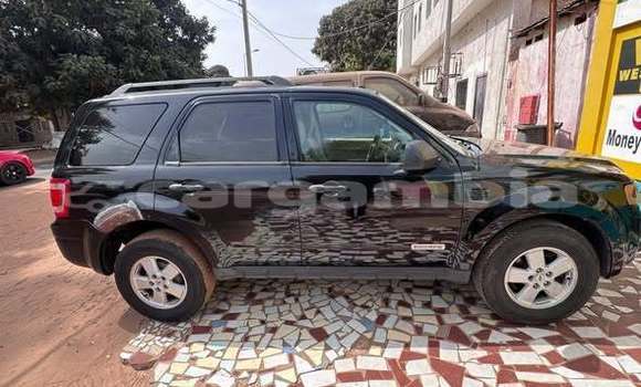 Buy Used Ford Escape Other Car in Serekunda in Kanifing