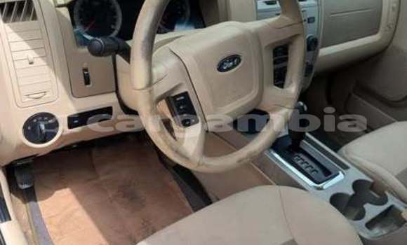 اشتري مستعمل Ford Escape Other سيارة في Serekunda في Kanifing اشتري مستعمل Ford Escape Other سيارة في Serekunda في Kanifing