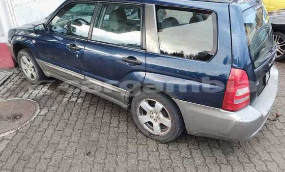 Buy Import Subaru Forester Blue Car in Banjul in Banjul Buy Import Subaru Forester Blue Car in Banjul in Banjul