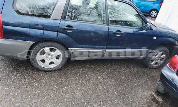 Buy Import Subaru Forester Blue Car in Banjul in Banjul Buy Import Subaru Forester Blue Car in Banjul in Banjul