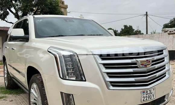 Buy Used Cadillac Escalade White Car in Banjul in Banjul Buy Used Cadillac Escalade White Car in Banjul in Banjul