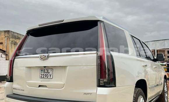 Buy Used Cadillac Escalade White Car in Banjul in Banjul Buy Used Cadillac Escalade White Car in Banjul in Banjul