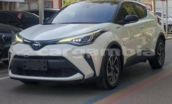 Buy Used Toyota C-HR White Car in Banjul in Banjul