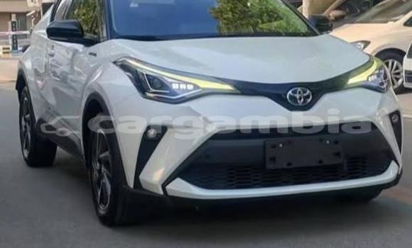 اشتري مستعمل Toyota C-HR White سيارة في Banjul في Banjul اشتري مستعمل Toyota C-HR White سيارة في Banjul في Banjul